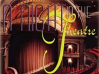 A NIGHT IN THE THEATRE - Village Playbox